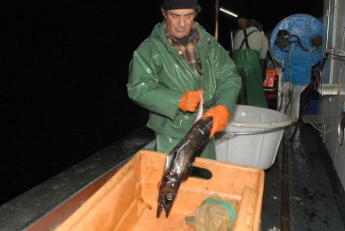 pesca-peixe-espada-preto (17)