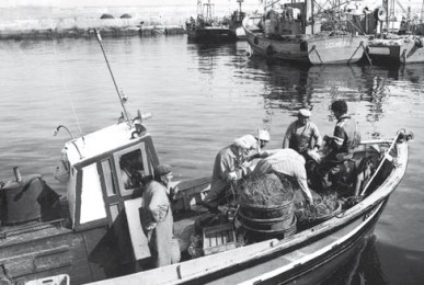 barca-maritimos-pescadores