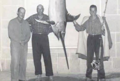 peixe-agulha-espadarte