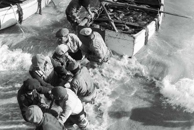 o-pescador-de-sesimbra