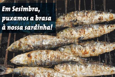 sesimbra-puxa-brasa-sardinh